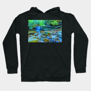 Carrick Creek, South Carolina Hoodie